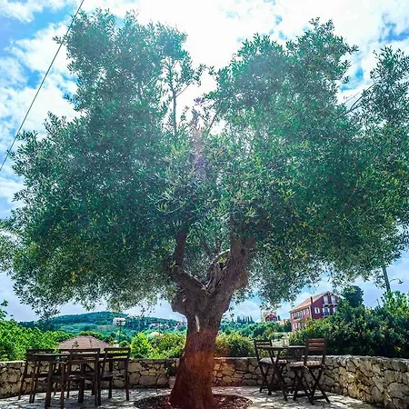 Maniata Apartment Antipata (Erisos)